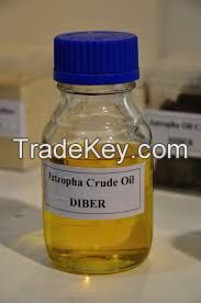 Crude Jatropha Oil