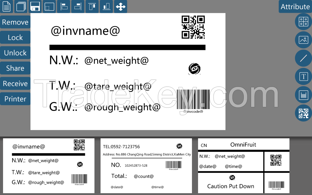 OMS-E Wireless smartphone connected all-functional mobile scale 