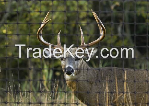 Plastic 8feet deer farm fencing /deer barrier fence