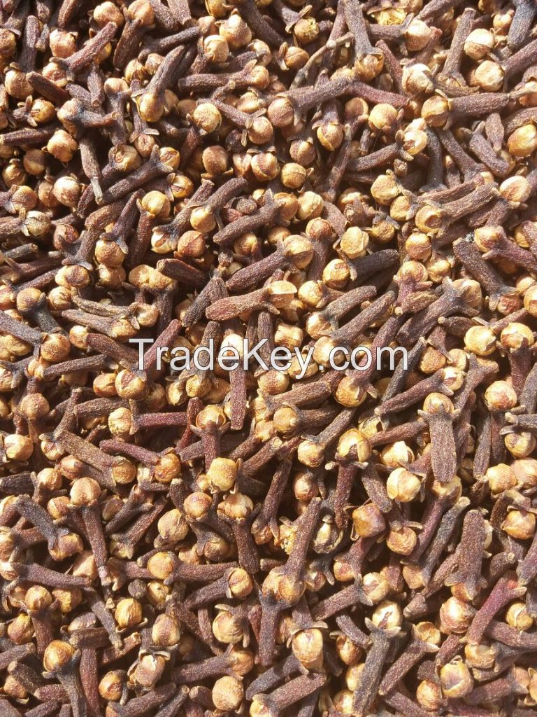 CLOVES (Origin: Madagascar, Sri Lanka, Comoros)