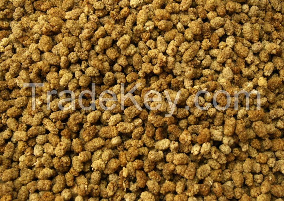 Organic Sun Dried Mulberries