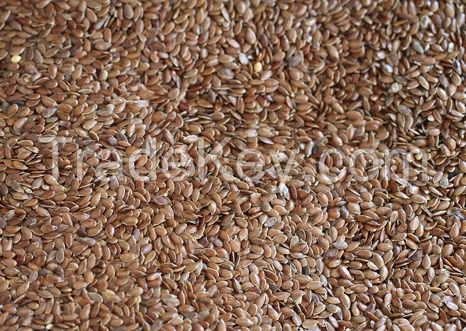 Organic Flax Seeds