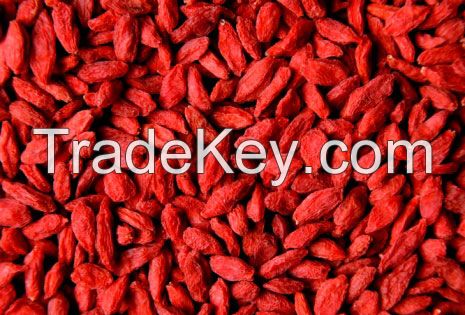 Organic Dried Goji Berries