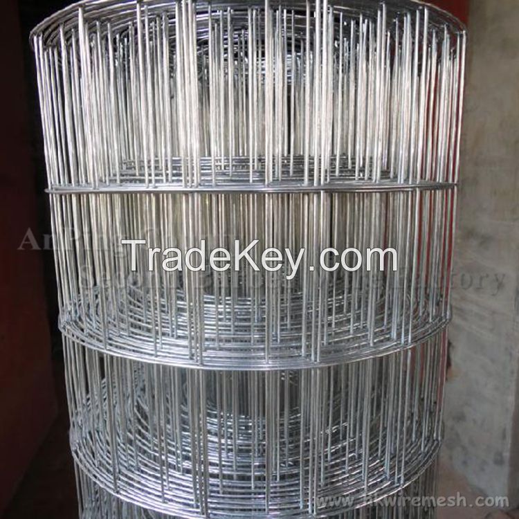 Welded Wire Mesh