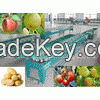 ellipse fruit grading machine