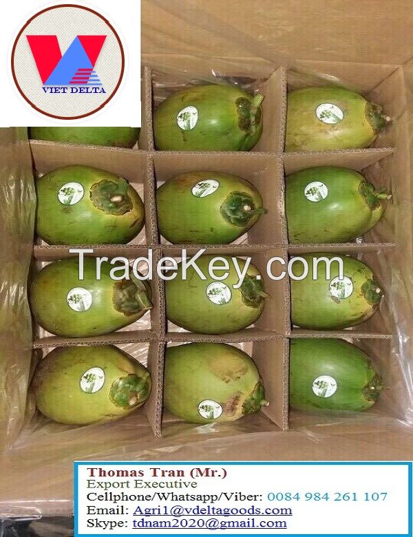 FRESH YOUNG COCONUT - HIGH QUALITY FROM VIETNAM- +84-984261107