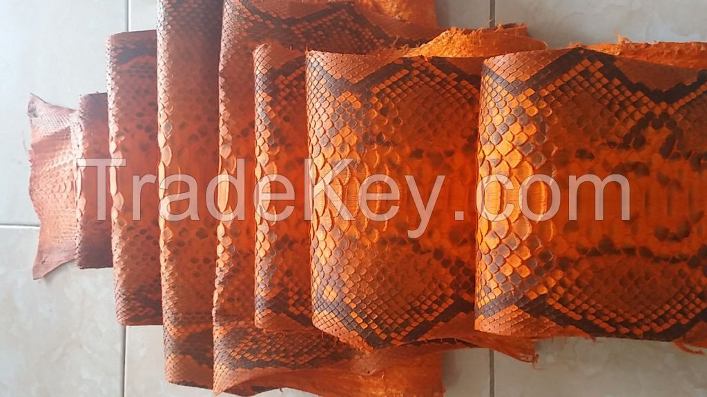 python snake skin hide