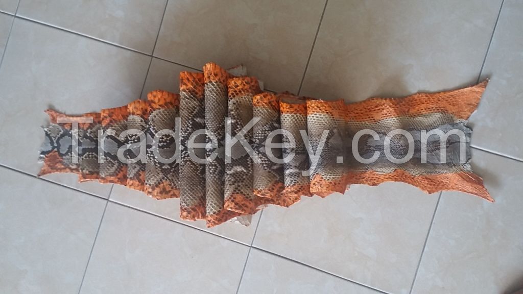 python snake skin hide