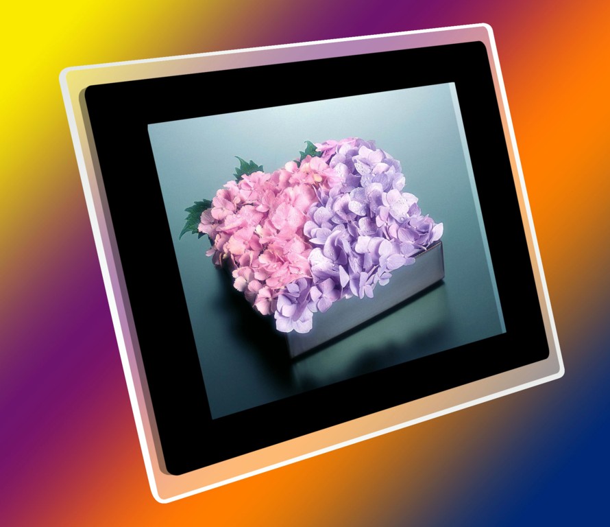 12.1 inch digital frame