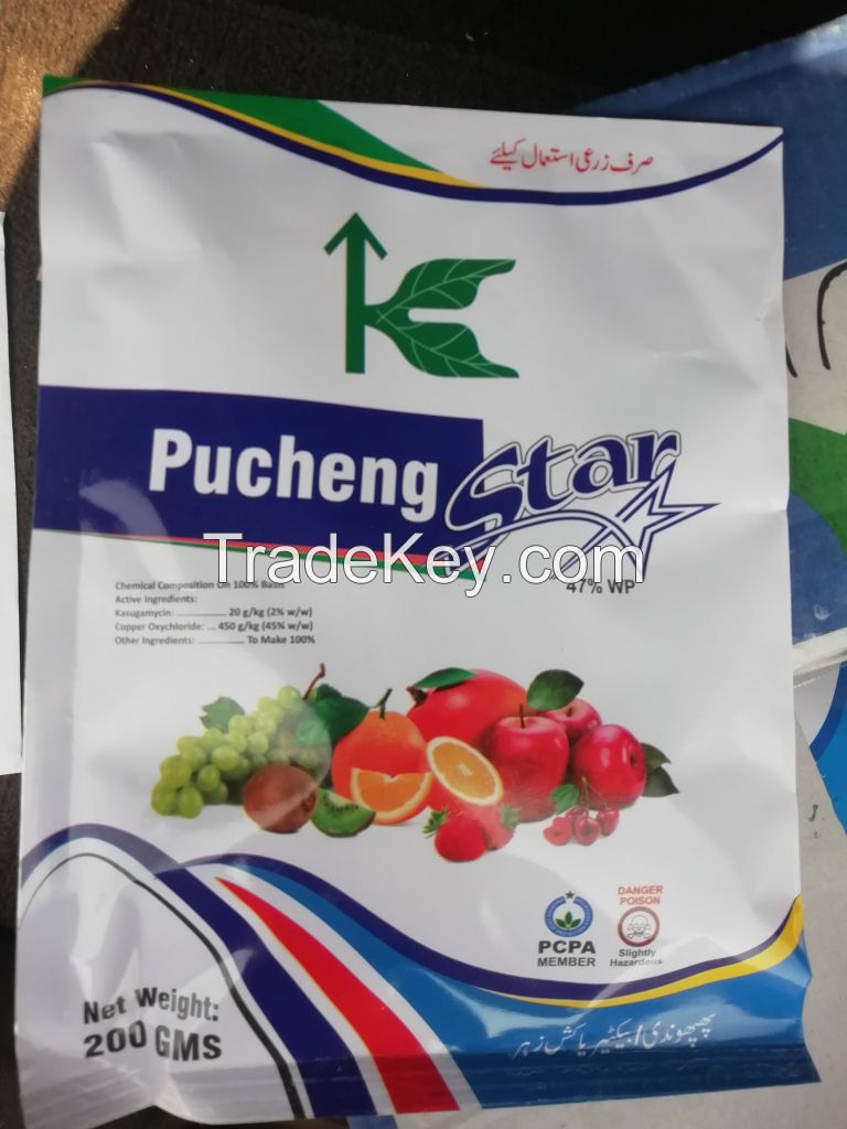 Pucheng Star