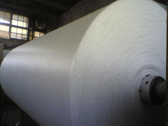 fiberglass tissue