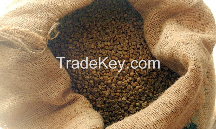 Arabica green coffee beans