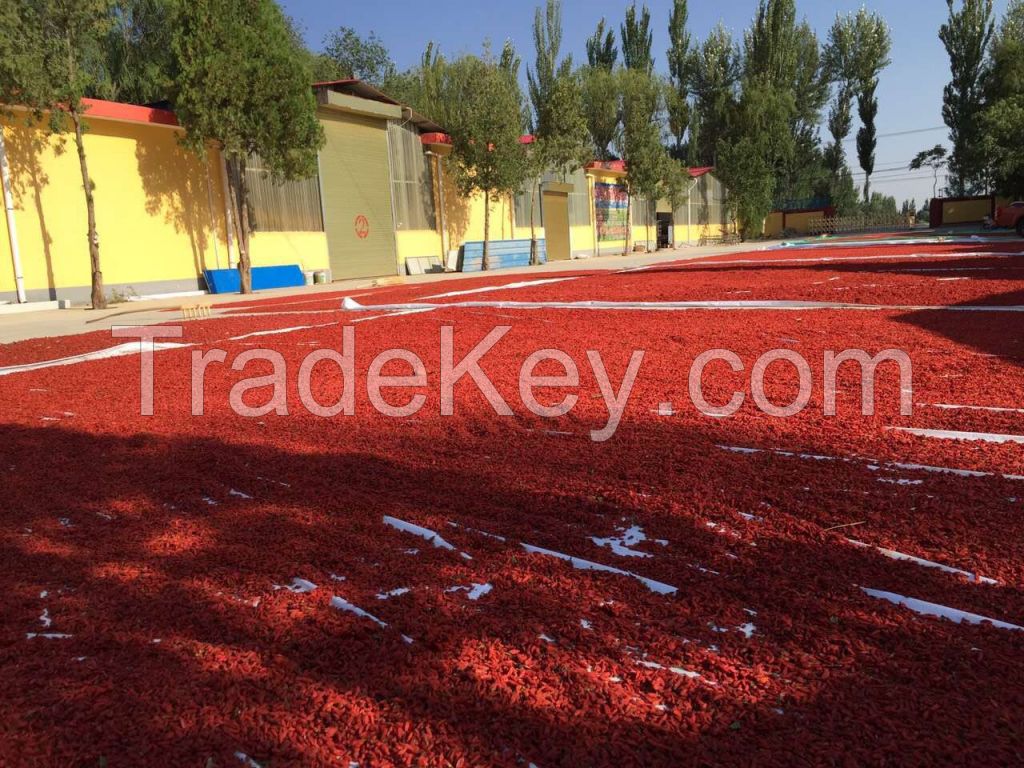 Dried chinese gojiberry , dried fruits