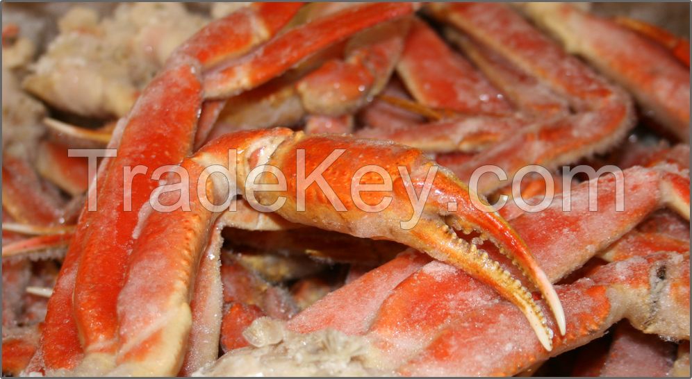 Frozen Snow Crab Legs, Fresh Snow Crab Legs