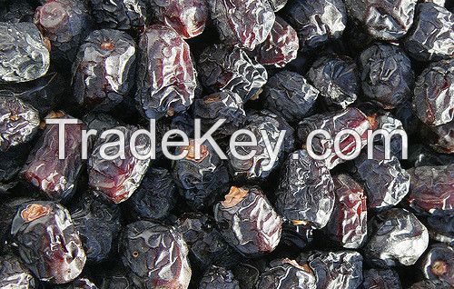 Ajwa almadinah dates manufacturer