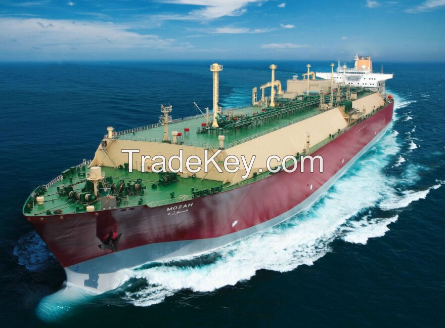 Shipping Service From China To Rotterdam /Felixstowe/ Le Havre/Hamburg