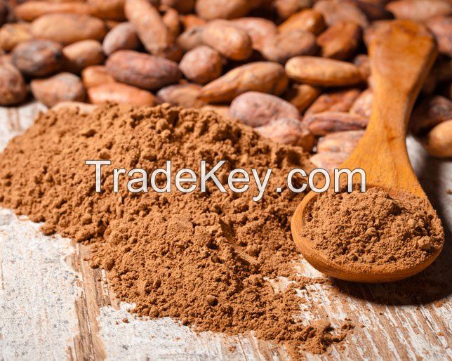 Best Quality Cocoa Powder At Cheap Price