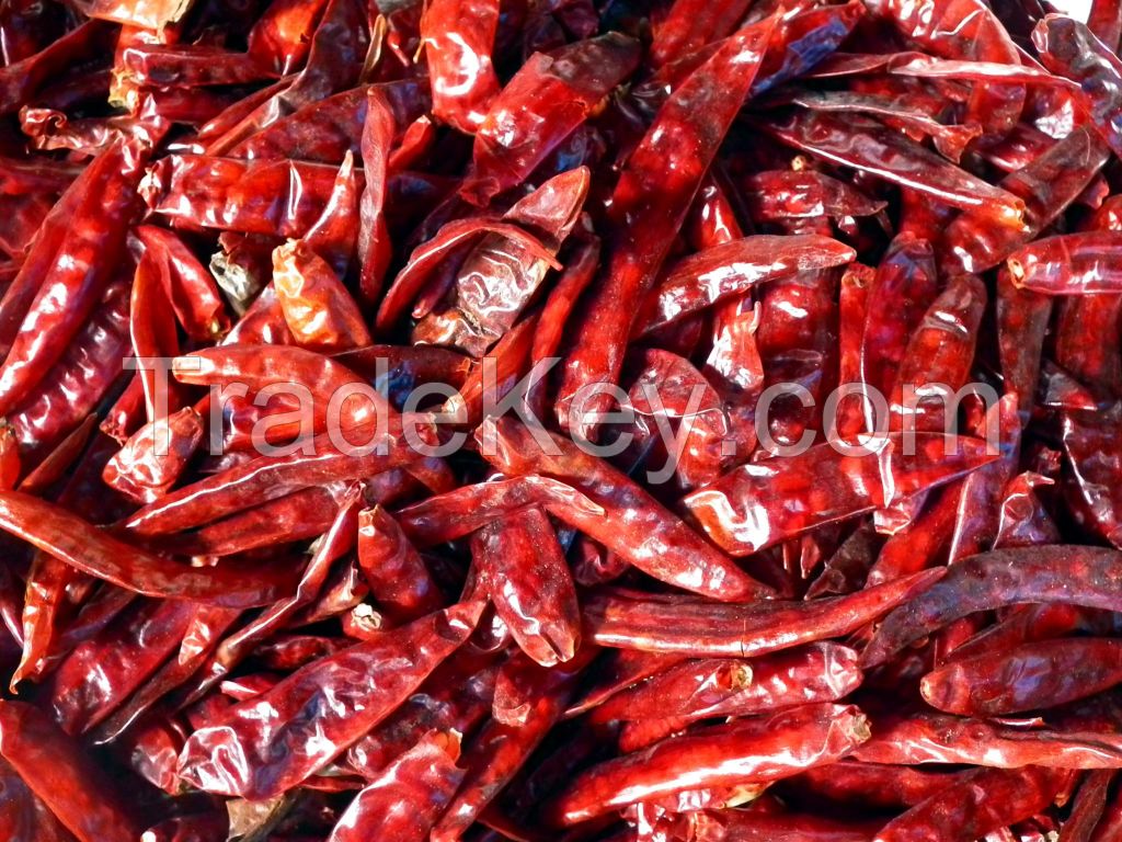 Whole Sale Bulk Spice Bird\'s Eye Chilli