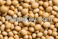 Soybeans