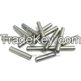 Precision Stainless Steel Dowel PIN For Mold Parts (ZOOM)