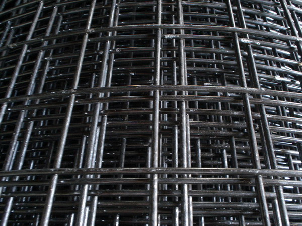 welded wire mesh