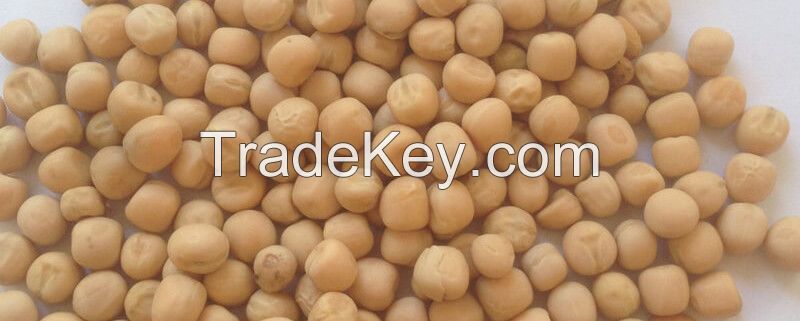 High Quality Yellow Peas