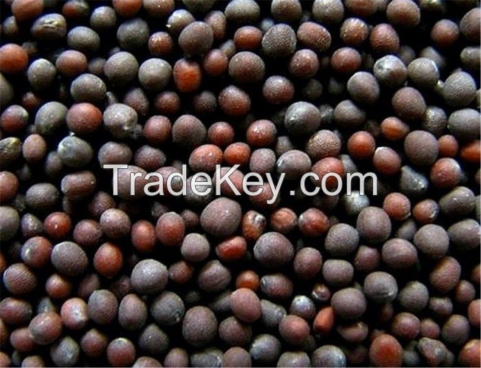 Premium Black Mustard Seeds