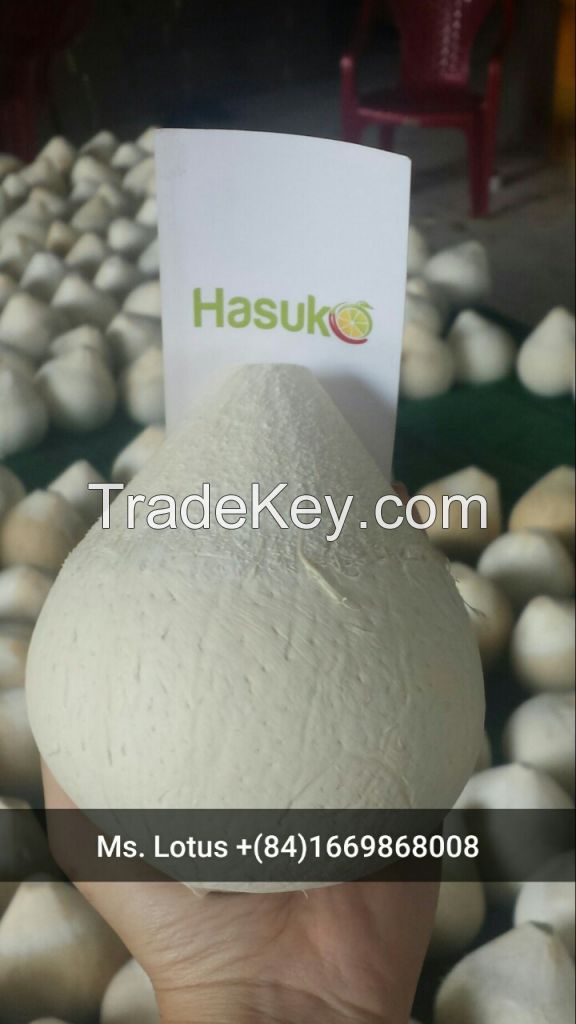 Diamond or polish young coconut high quality vietnam original  exporter