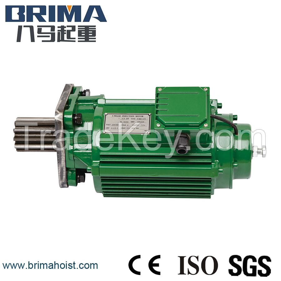 BRIMA BM-050 crane geared motor