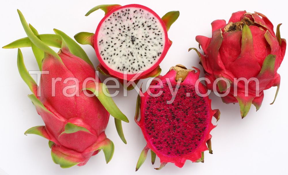 Fresh Dragon Fruits