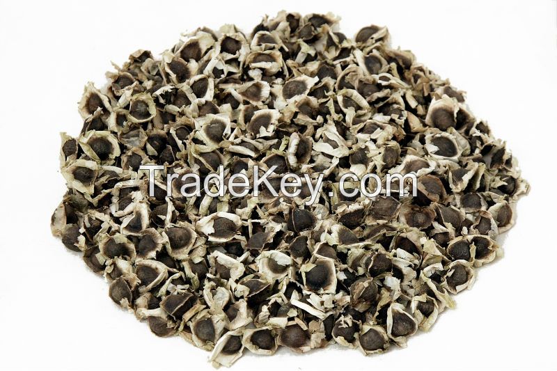 Moringa seeds