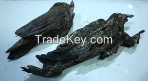 BLACK OUDH