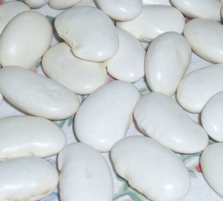 Large White Kidney Beans