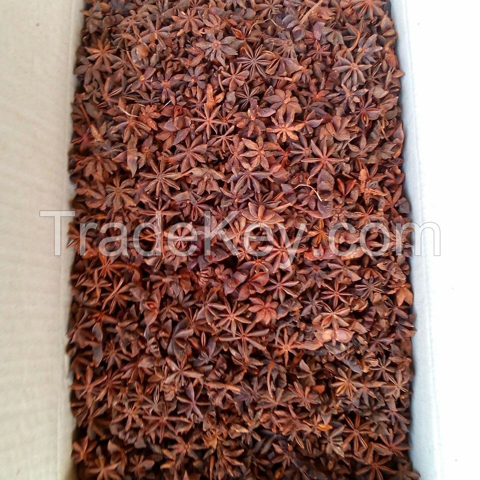 Star Anise (Whole, Broken, Powder, ...)