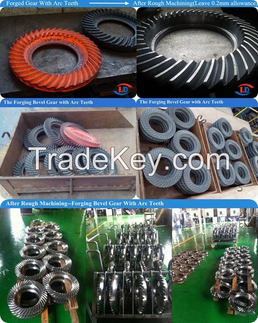 Bevel Gear