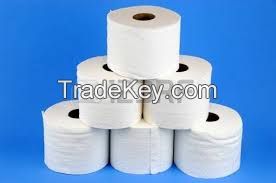 Toilet Tissue Paper