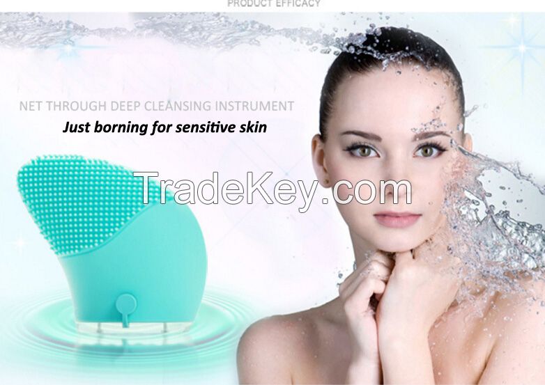 Rechargeable Silicone Facial Brush