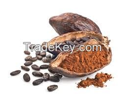 Pure Organic  natural cocoa powder