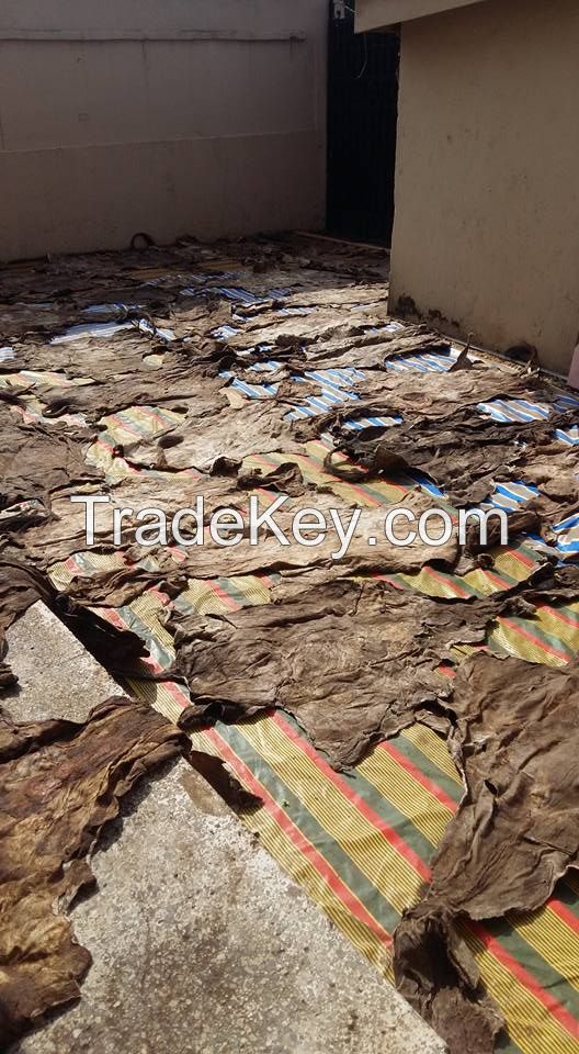 DRIED AND WET DONKEY HIDES.