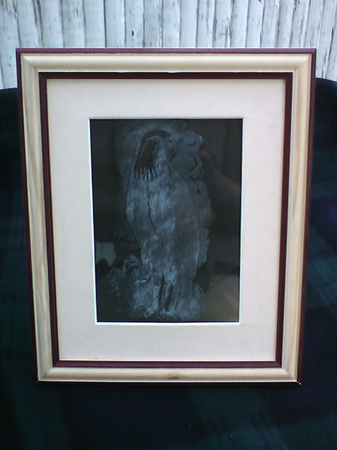 Framed Etched Images