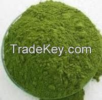 Moringa Seed/ Powder/ Leaves/ Tea