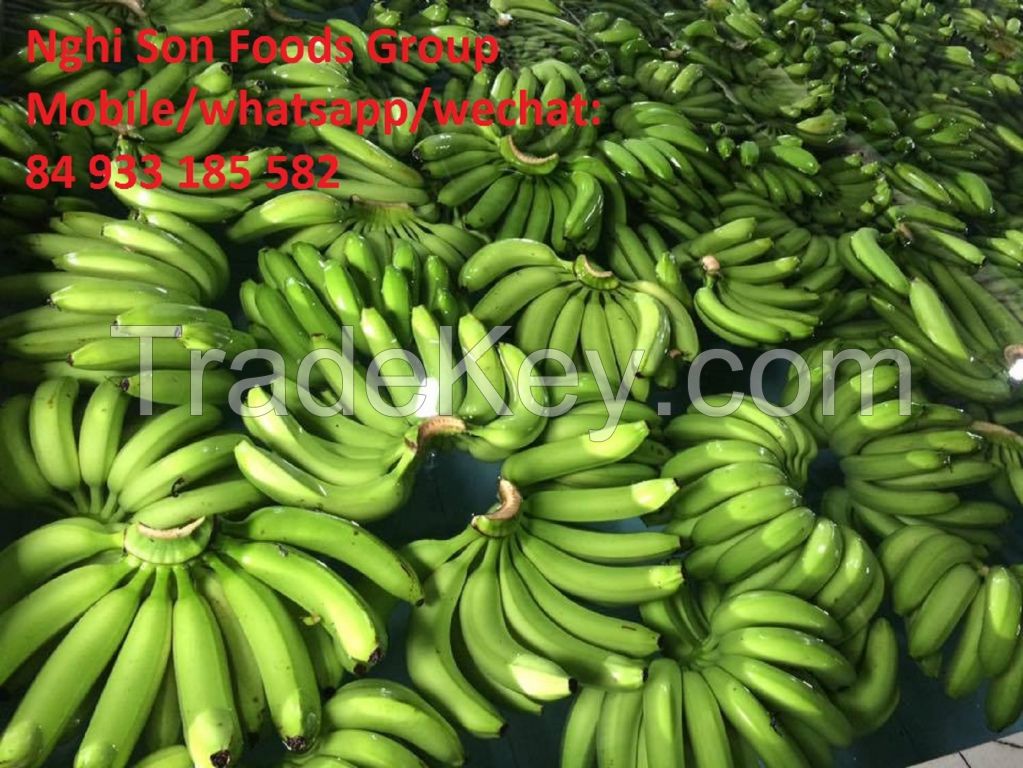 Fresh Cavendish Banana from Viet Nam