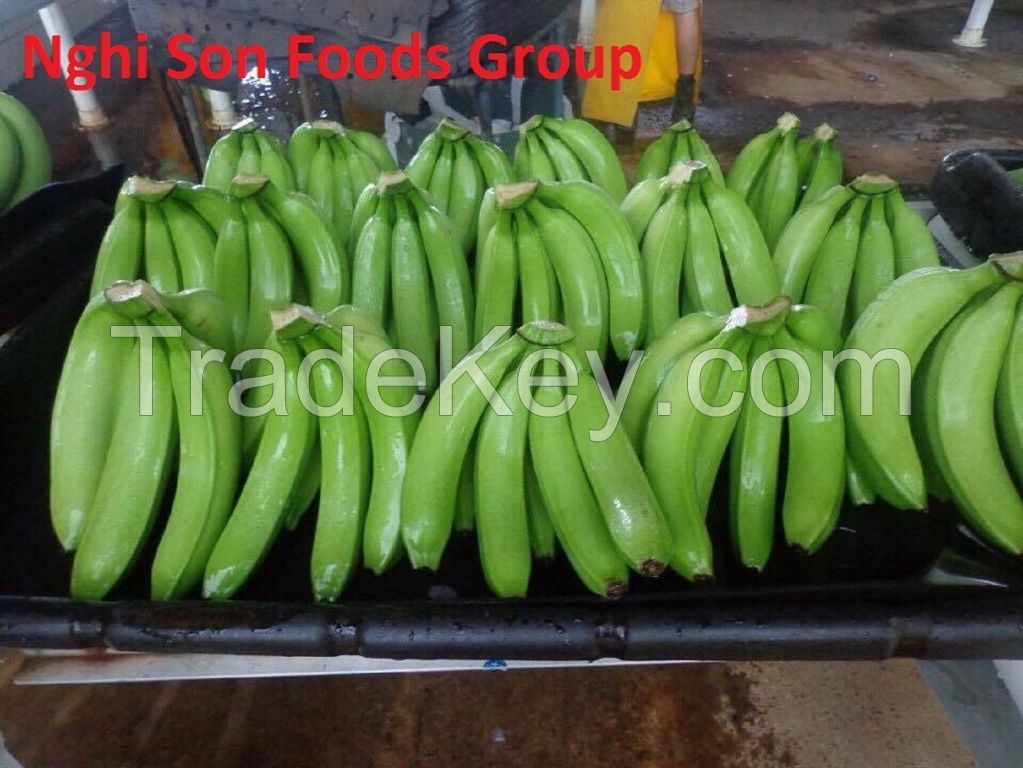 Fresh Cavendish Banana from Viet Nam