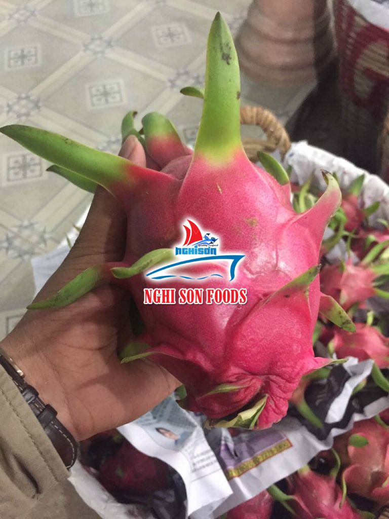 DRAGON FRUIT - WHITE FLESH