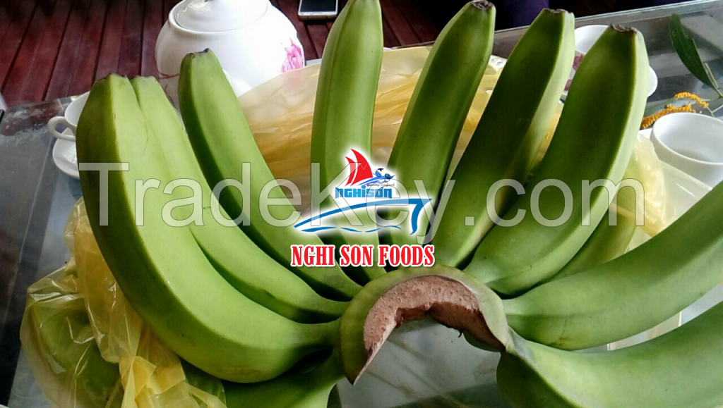 FRESH CAVENDISH BANANA