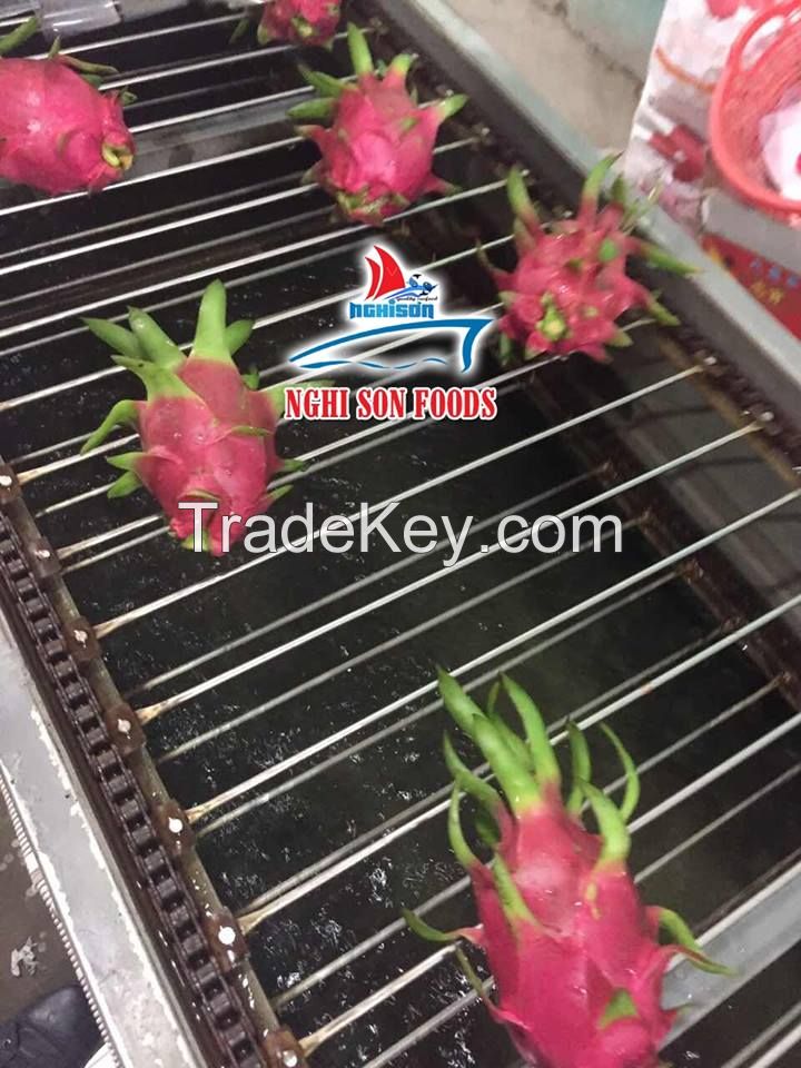 Fresh Dragon Fruit