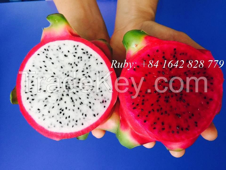 Fresh Dragon Fruit