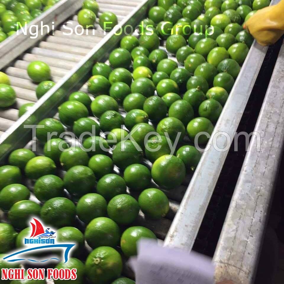 Fresh Lime Seedless