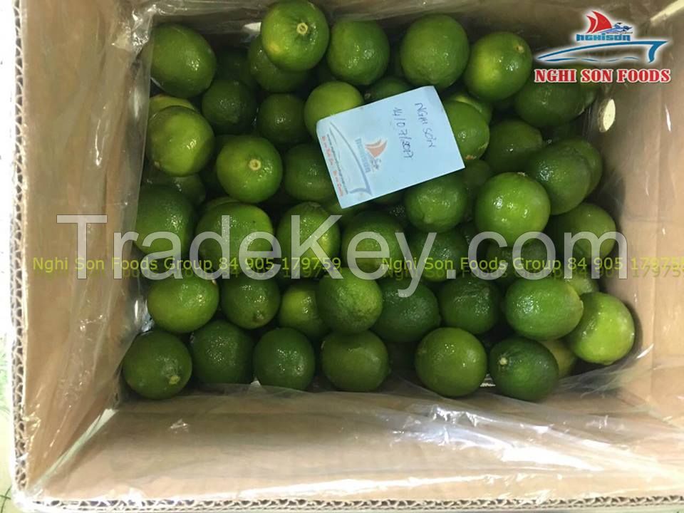 Fresh Lime Seedless