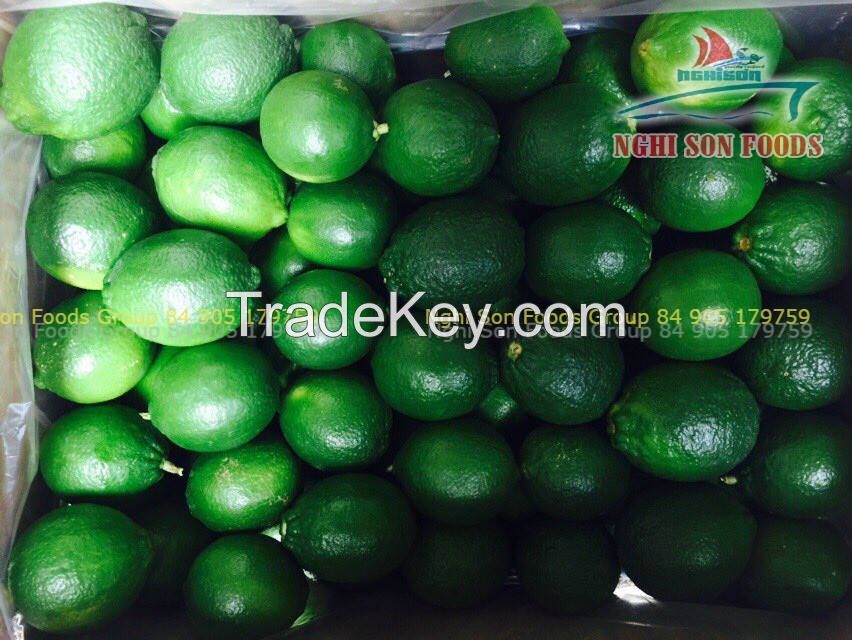 Fresh Lime Seedless